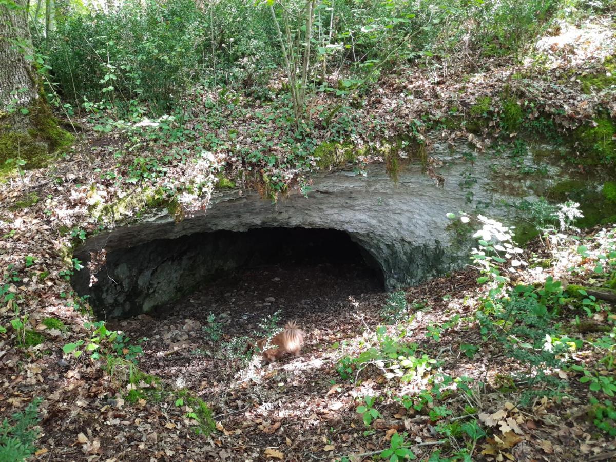 Ferme Des Petites Oreilles 4 Etoiles Montignac-Lascaux Exterior foto