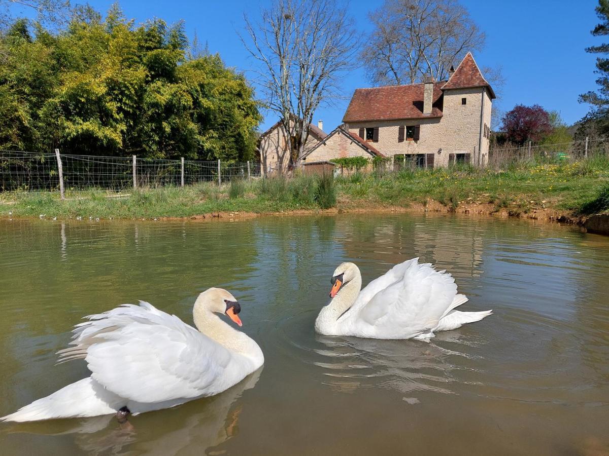 Ferme Des Petites Oreilles 4 Etoiles Montignac-Lascaux Exterior foto